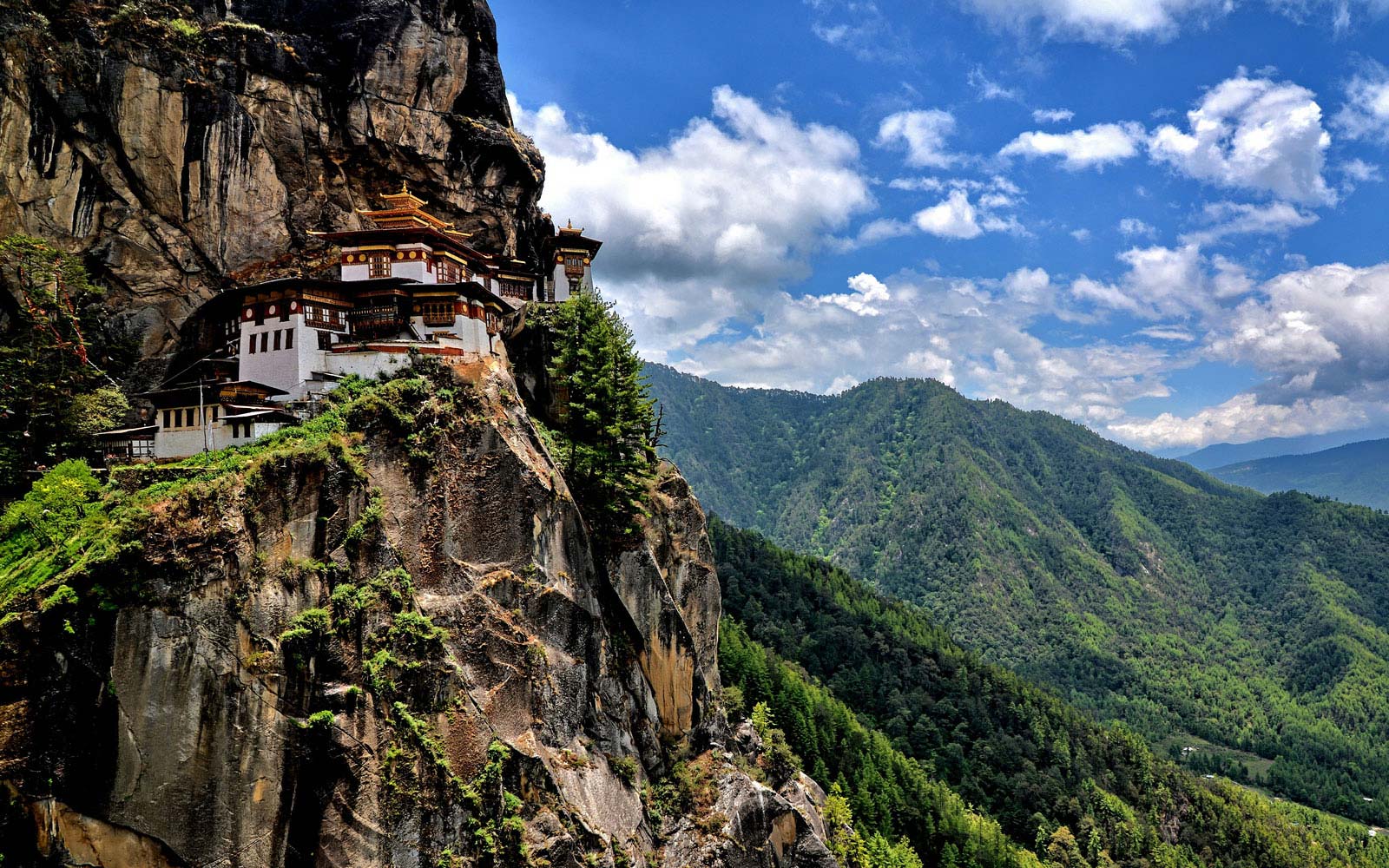 Bhutan Landscape