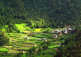 bhutan nature
