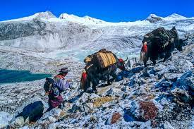 bhutan_treks